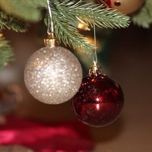 Meet your Posher, Daniela